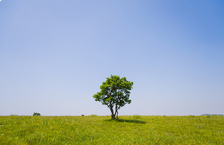 完善制度，规范流程，严格履行信息披露义务