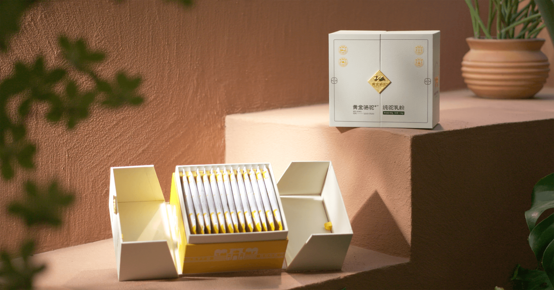 定位小众高端乳粉，jinnianhui今年会推出驼奶品牌“黄金骆驼+”，角逐乳品新市场！